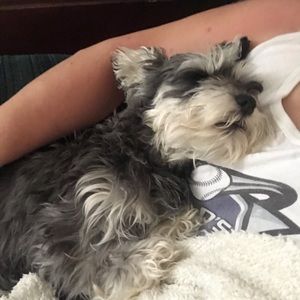 Meet your Posher, Andrea